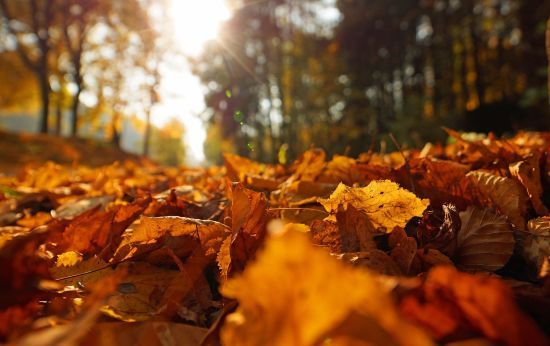 ����: ru.tsn.ua