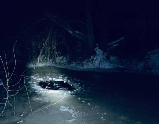  ������� ��� ���� ������ 