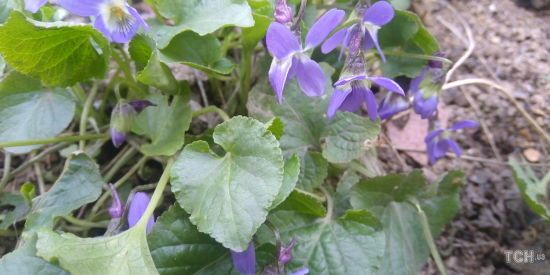  2022 ���� ������� ������ 