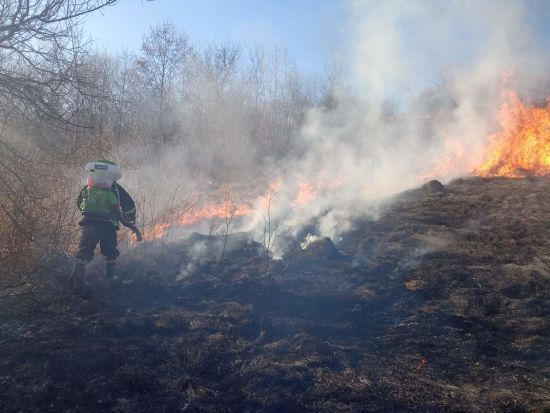  ���� 2023 ��������� 