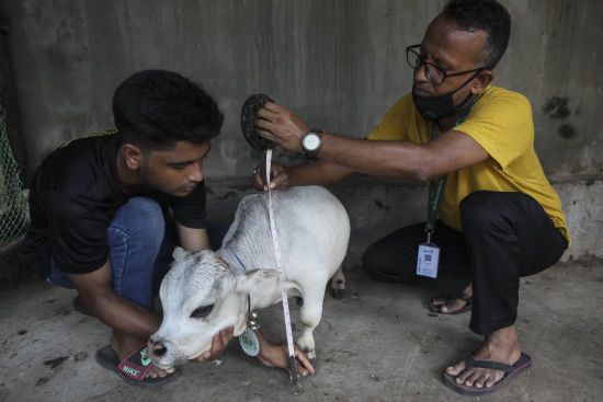  ���� �������� ����� ������� ������� ��������� ������ ��������� 