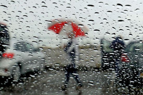  �������� ����������� ������ ������ ��������� ��� 