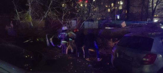  ����� ������ ����� ���� ����� ������� �������� 