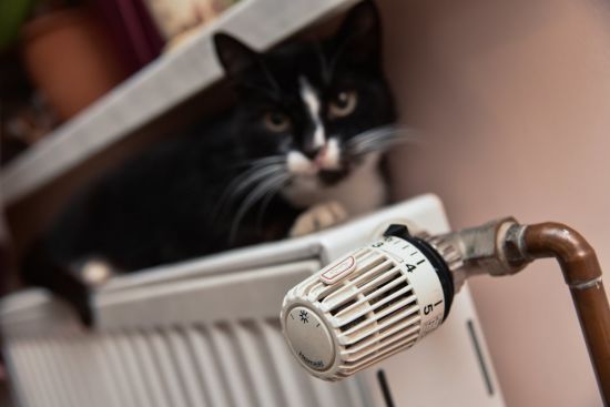  ������ ������������� ������ 