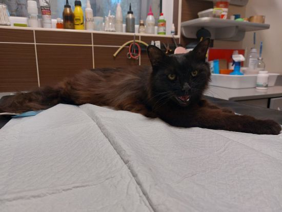  ���������� ������ ���� �������� �������� �������� ������ ���� 