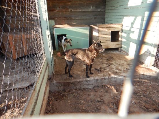  ������ ��������� �������� ������� ������� �������� ������� 