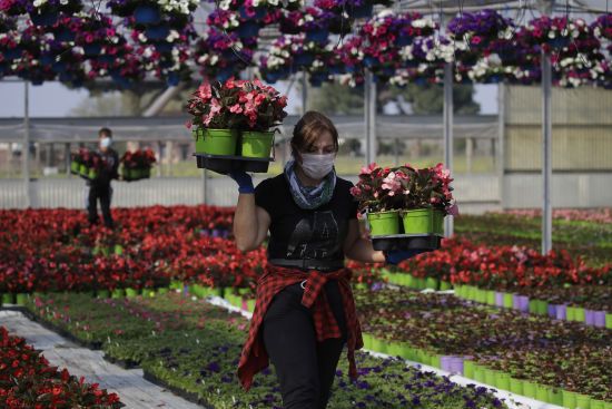 ����: ru.tsn.ua