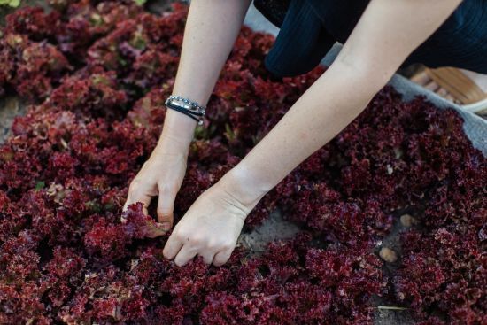  2022 ������ ������ ��������� �������� ��� ����� �������� 