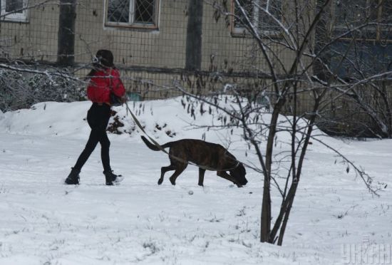  ������� ���� ����� �������� ������� ������ ������� 