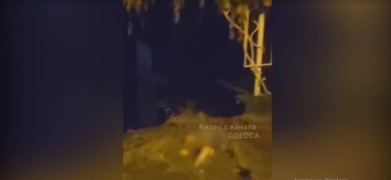  ���� ������� ������������ ����� ������� ���� ������ 