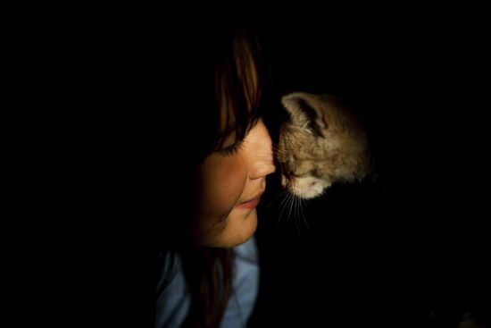  ������� ����� ���������� ������ ������ ������� 