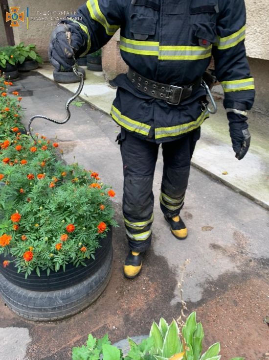 ����: ru.tsn.ua