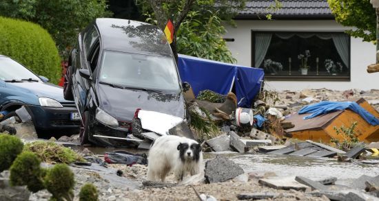  ����� �������� ����� ������� �������� ������ ����� ������� 