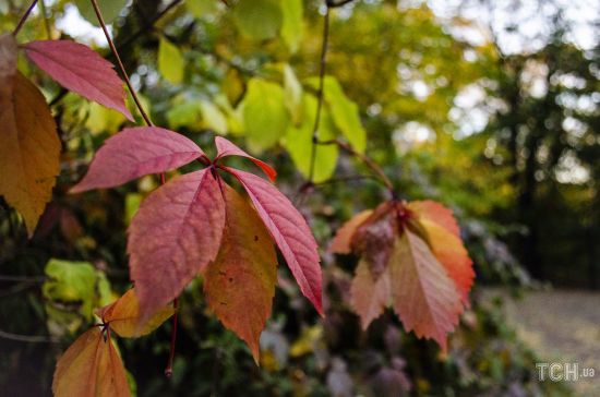  ������� ������ �������� �������� 