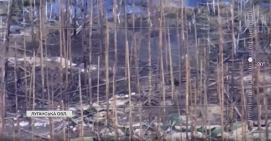  ���������� ������� ������� ������������ ������ ���� 