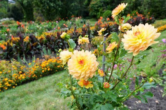 ����: ru.tsn.ua