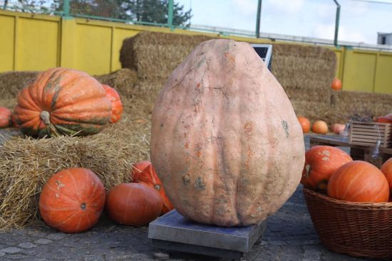  ����� ����� ���������� ����� ������������� ������� ���������� ����� 