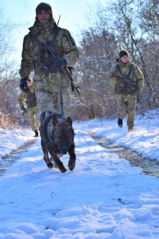  ��� �������������� �������� ���������� ��������� ������ 