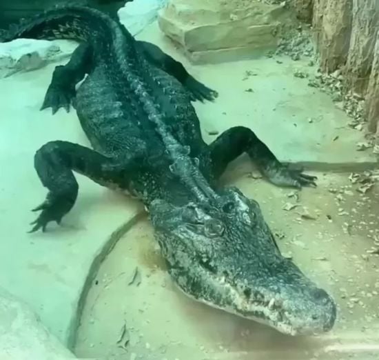  ��������� ����� ������� �������� 