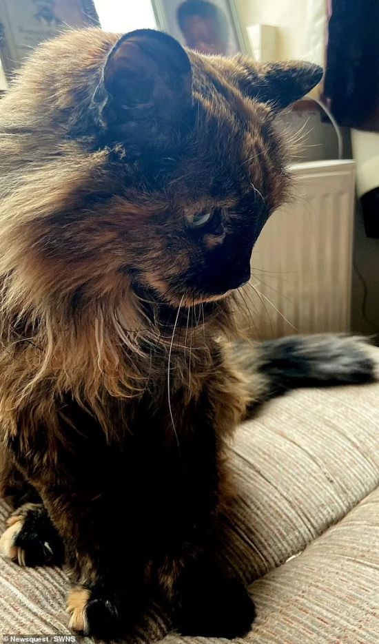  ����� ���� ���� �������� 