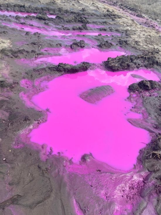  ���� ���� �������� ���� 