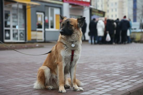 ����: ru.tsn.ua