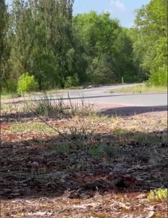  ��� ������� ����� ������ ������������ ������� �������� ������� 