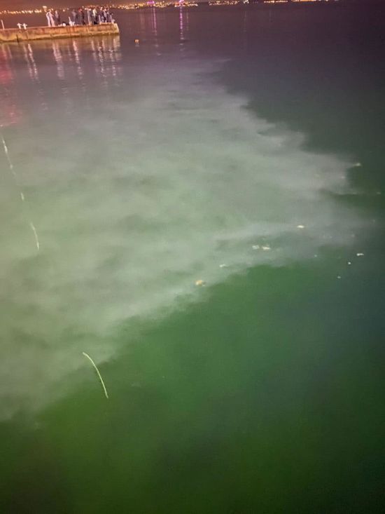  ������ �������� �������� ��������� ����� ������� ����������� ���� 