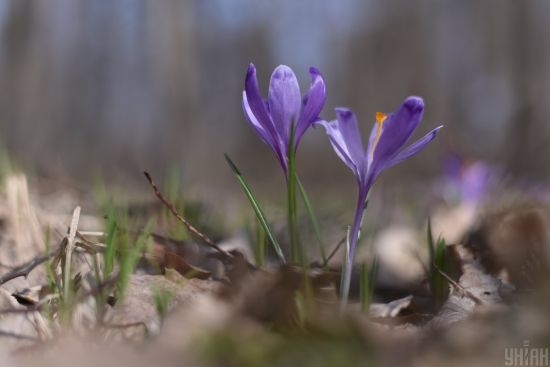  ������� �������� ����������� ����� 2022 ������� �������� 