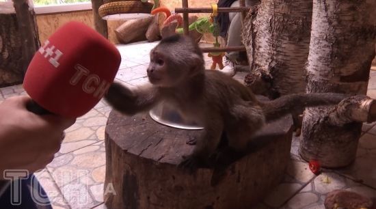  ������ ��������� ���� ����� ���������� 