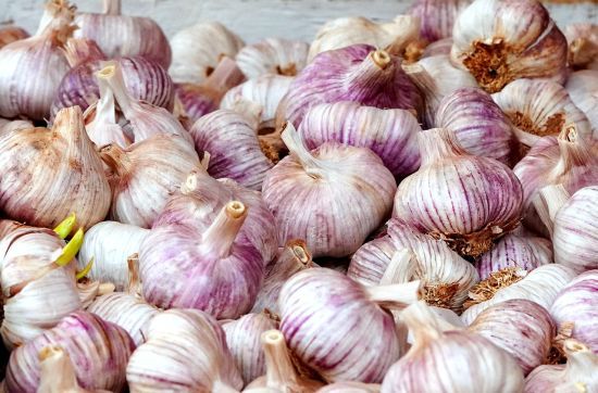  ������� ������� ���� ��������� ���� ��������� 