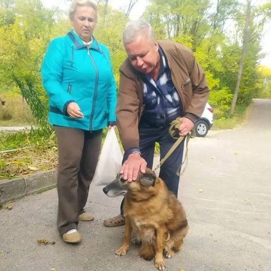  ������� ������ ����� ����� ������ �������� ����������� 