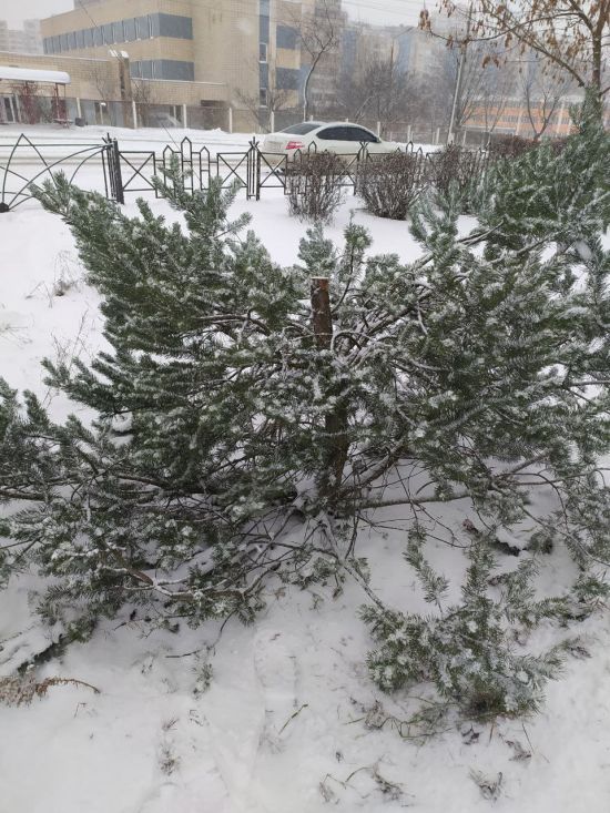  ���� ����� ������� ����� 