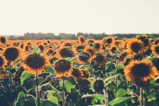  ��� ���� ������� ������� ������ ���� �������� ����� 