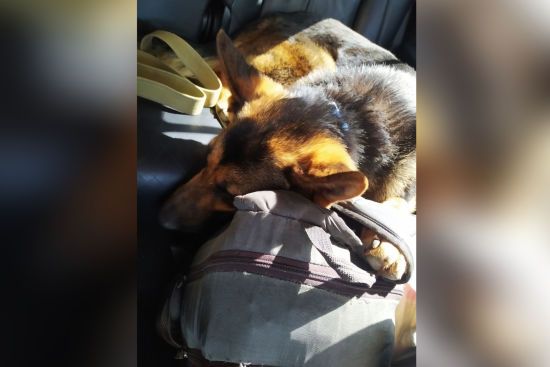  ������ ������ ������ ���� ������� ���� ��� ��� 