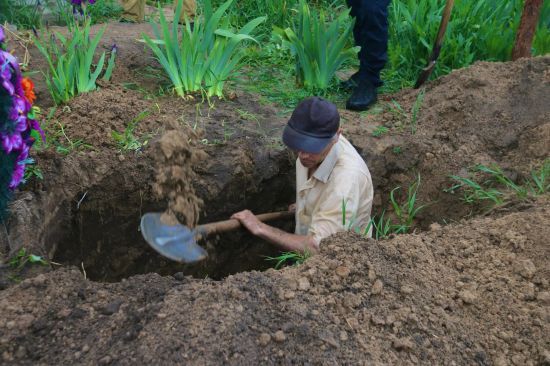  ������ ����� ���� 