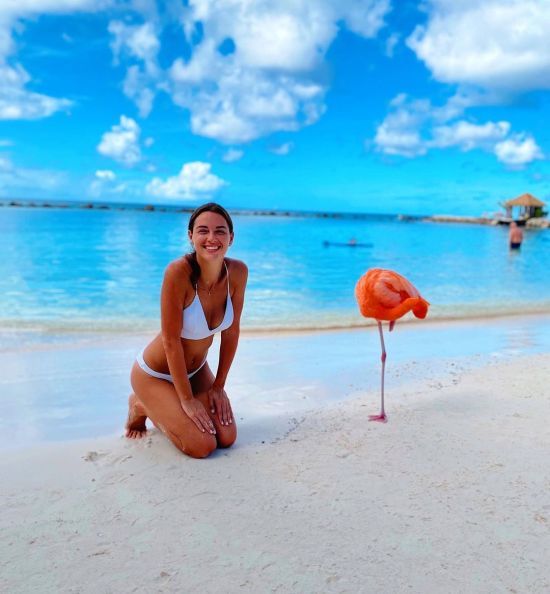  ������ ���������� �������� 