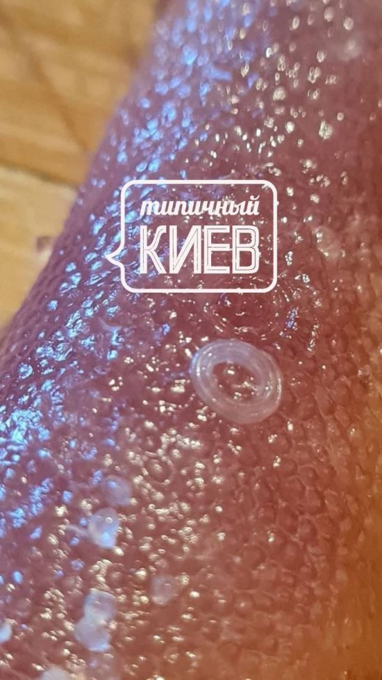  ������������� ����� ���� ����� ��������� ���� ����� 