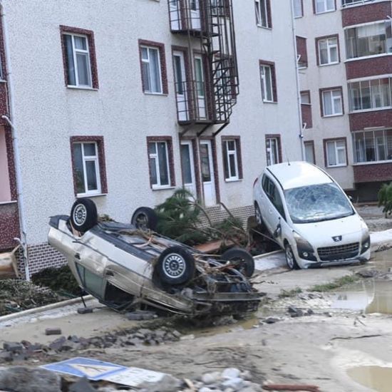  ������ ������� ����� ����� 