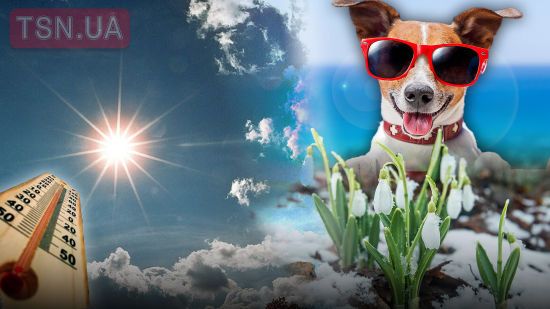 ����: ru.tsn.ua