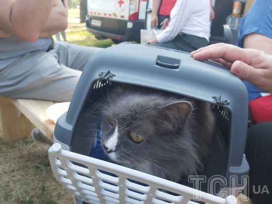 ����: ru.tsn.ua