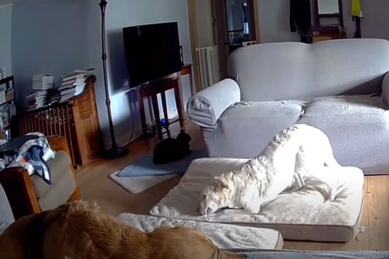  ������ �������� ������� 