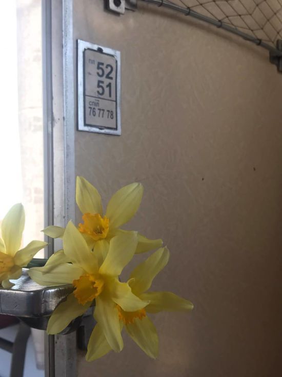  ���������� ������ ������ ����� ����������� ������� ������ �������� 