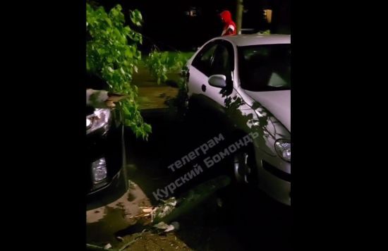 ����: ru.tsn.ua