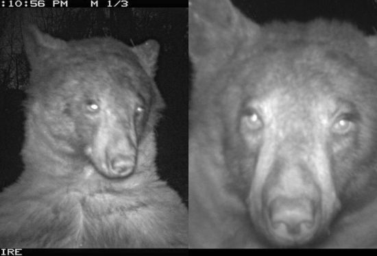  ����������� ������� ������� 