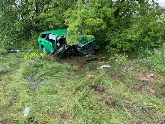  ������ 20-������ ���� ��������� ������� 