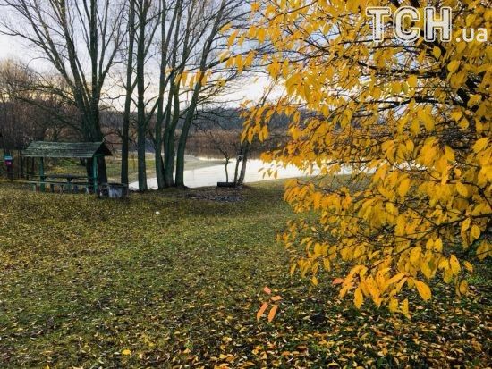 ����: ru.tsn.ua