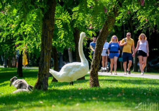  2022 ����� ���������� ������� 