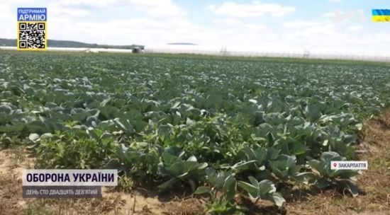  ���������� �������� ������ ������� ������� ���� ������������ 