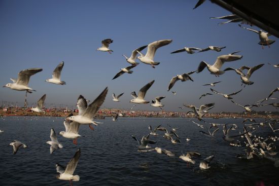  ����� �������� ��-34 ���� ������� ��������� ����������� ����������� 